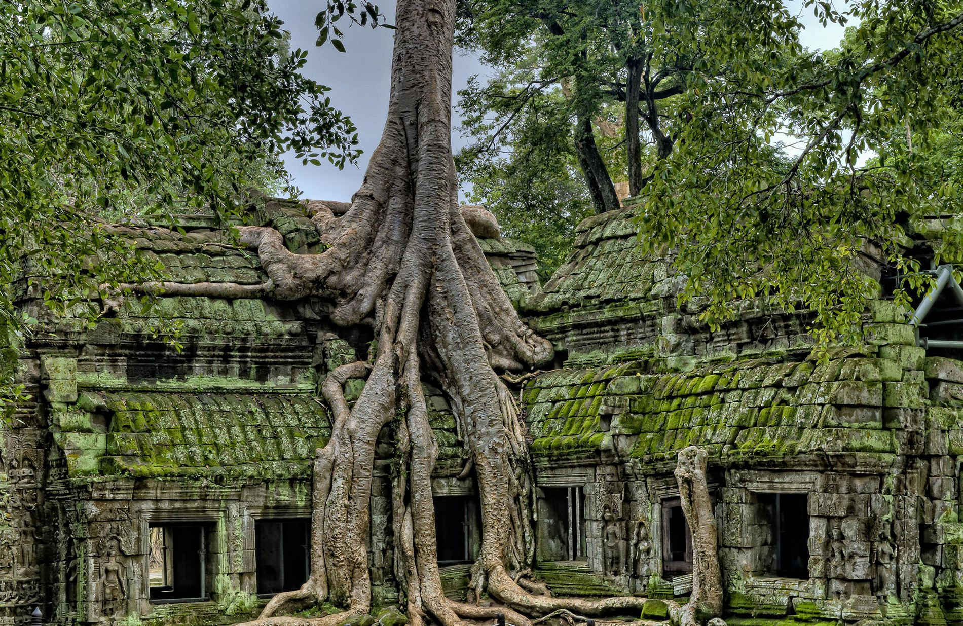 Vietnam & Camboya